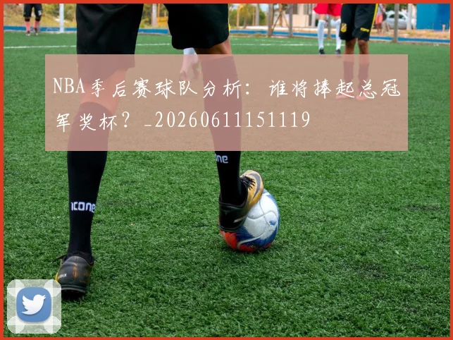 NBA季后赛球队分析：谁将捧起总冠军奖杯？_20260611151119